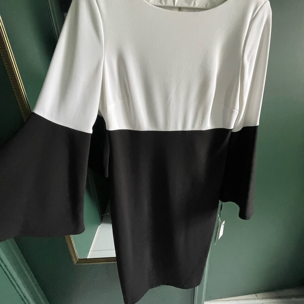 Calvin Klein Color Block Bell Sleeve Dress